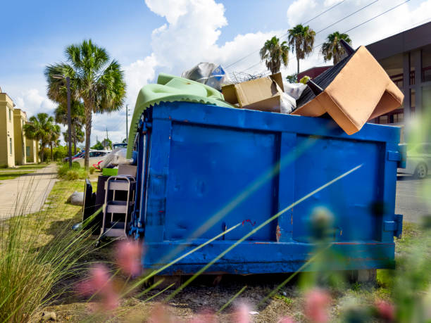 Yard Cleanup Services in Jackson, CA